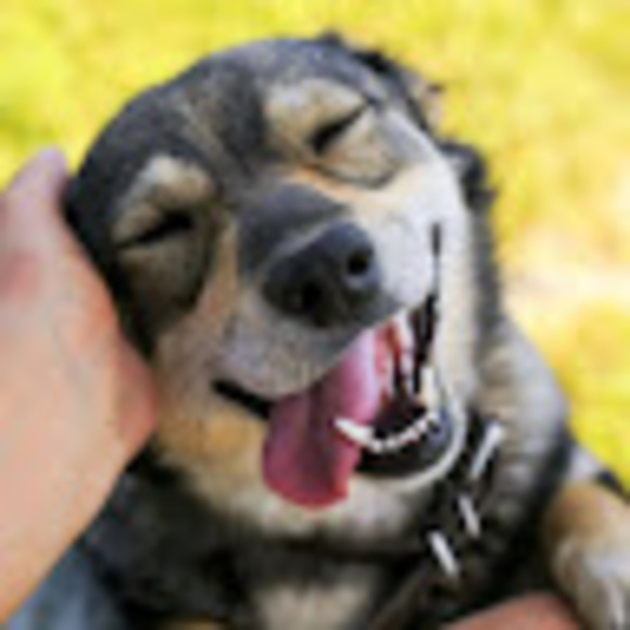 Meet your Posher, John - Picture 1 of 1